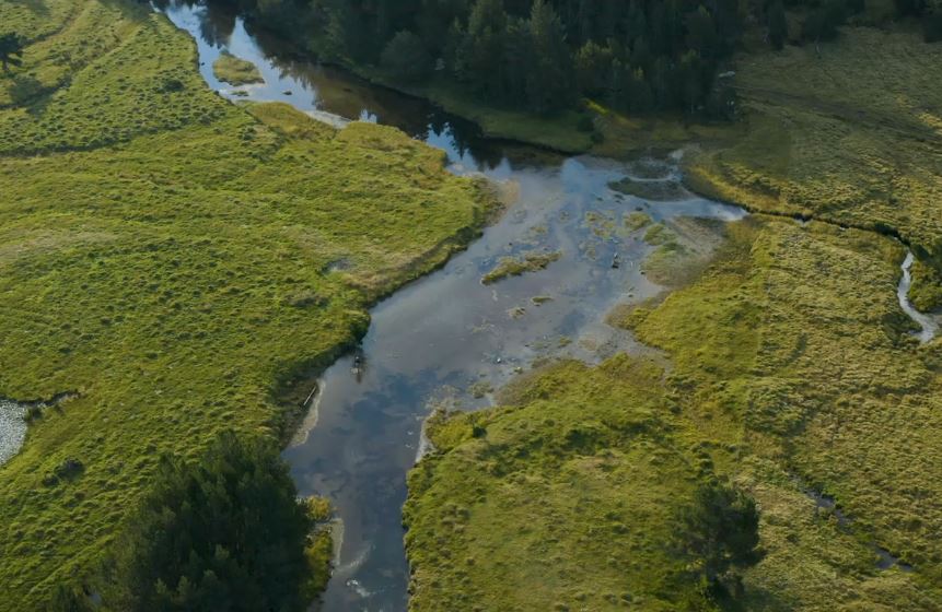 La SHEM soucieuse de la biodiversité