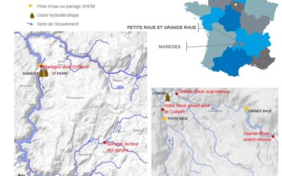 Rapport annuel suivi environnemental 2019 vallée de la Dordogne