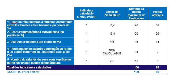 SHEM INDEX EGALITE PROFESSIONNELLE 2025<br />
SCORE GLOBAL : 89 points